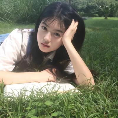 波普先生的企鹅